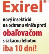 10 dní