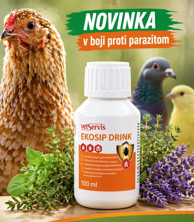 Ekosip
