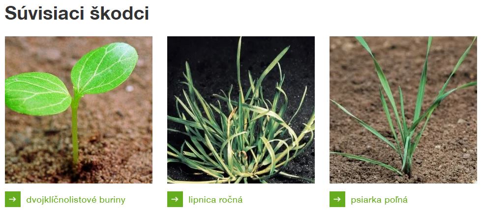 súvisiaci škodci