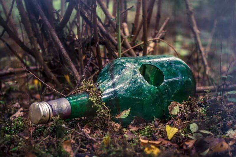 vyhodená sklená fľaša v lese