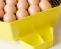 Liaheň na vajcia CLEO 5 DTHW (41 vajec)