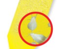 Stopset žlté lepové šípky na ochranu izbových rastlín - 5 ks