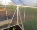 Skleník VITAVIA TARGET 6200 PC 4 mm strieborný
