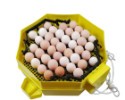 Automatická liaheň na vajcia CLEO 5x2 DTH AUTOMATIC (82 vajec)