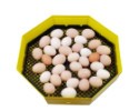 Liaheň na vajcia CLEO 5 DTH (41 vajec)