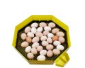 Liaheň na vajcia CLEO 5x2 DTH (82 vajec)