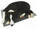 Výhrevná podložka pre psov THERMODOG 3113017 - vykurovacia doska 40X60cm