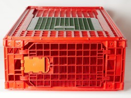 FEREX Prepravka na hydinu B - 97 x 58 x 25 cm