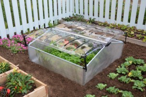 Parenisko Palram COLD FRAME Double arch