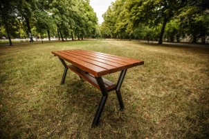 Parkový stôl FEREX2
