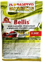Bellis 13 g