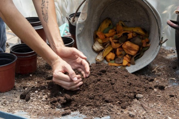 Návod na kompostovanie: Ako si založiť prvý kompost