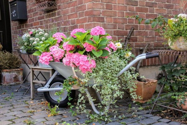7 netradičných využití záhradného fúrika