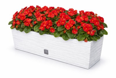 Truhlík FURU CASE 58 cm biely