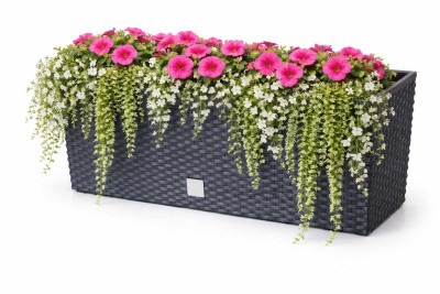 Truhlík RATO CASE 58 cm antracit