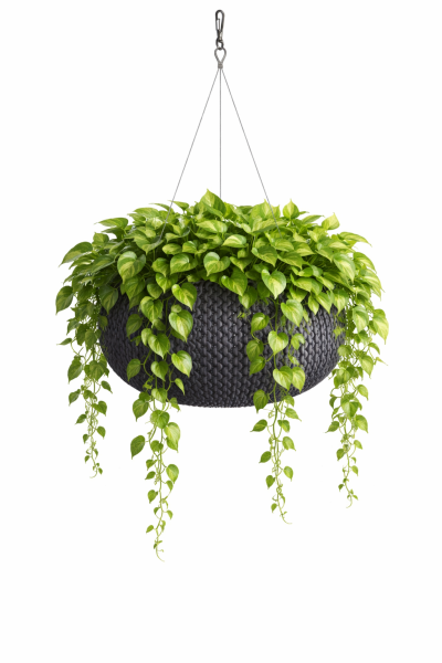 Kvetináč SPLOFY antracit 290 mm závesný