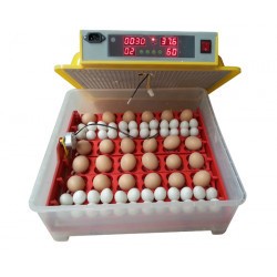 Automatická digitálna liaheň WQ-36 (36/144 vajec)